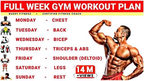 bodybuilding.com days in a week|days in a week forum.